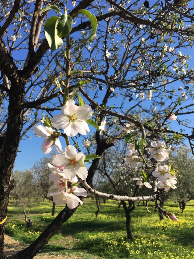Alludo Aparthotel B&B Agrigento Eksteriør billede